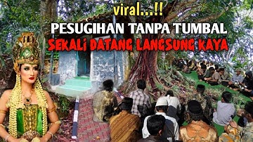 viral..‼️pesugihan tanpa tumbal sekali datang langsung sukses kaya raya