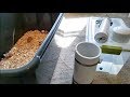 DIY Rodent grow out enclosure, water, and food.