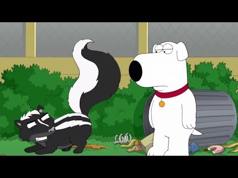 Skunk Spray (Family Guy)