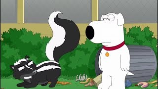 Skunk Spray (Family Guy)