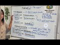 Japanese Verb Conjugation (Ru verbs / Group 2 verbs) | Part 2
