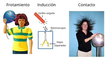 ¿Qué significa que un cuerpo está en estado neutro?