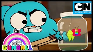 Gumball learns about the butterfly effect | The Butterfly | Gumball | Cartoon Network