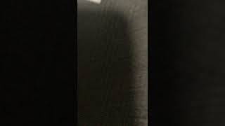 IMG 0154 #duet