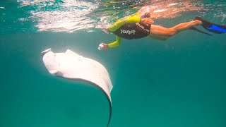 Manta-Manta,Hanifaru Bay,snorkel with manta rays,Maldives, Baa Atoll