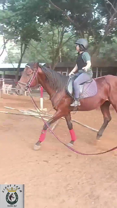 Equestrian 🐎 Indus p . Anaya.Gr6 .22/11/23