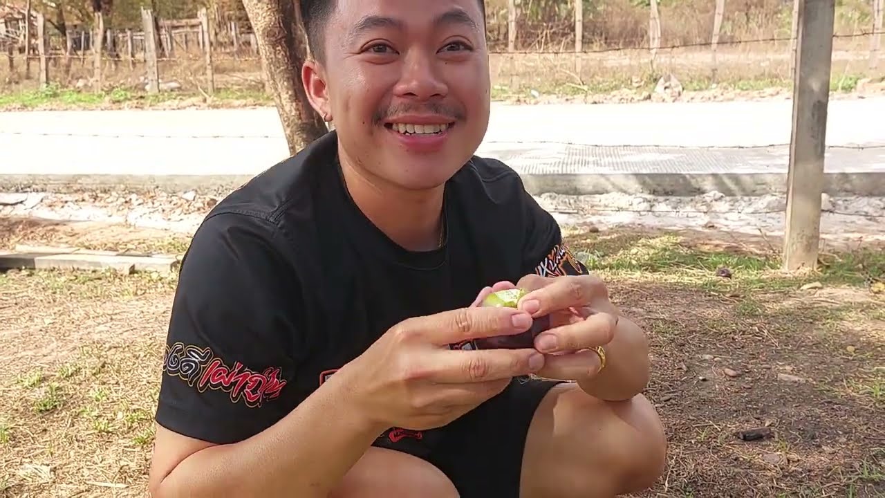 เก็บหมากยางให้บ่าวศรเอาไปกินุกเต็มเลย