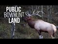 Bow Hunting Public Land Elk in September