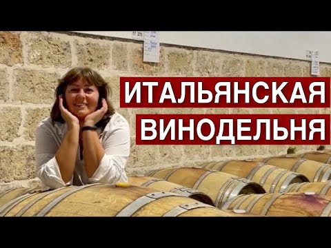 ВИНОДЕЛЬНЯ 🍷 КАК ЭТО УСТРОЕНО В ИТАЛИИ 🍷 СМОТРИМ СТАРИННУЮ ВИНОДЕЛЬНЮ В АПУЛИИ