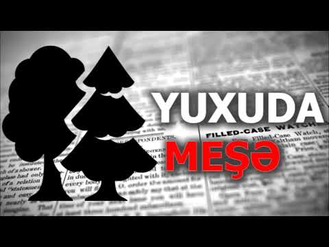 Video: Niyə meşə yuxuda xəyal edir