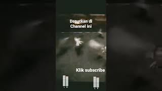 Suara walet top, #viral#tranding#walet #suarapanggilwalet #suara