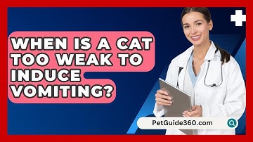 When Is A Cat Too Weak To Induce Vomiting? - PetGuide360.com