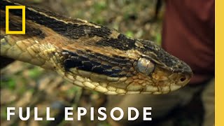Jagged Jungle (Full Episode) | Primal Survivor: Over the Andes