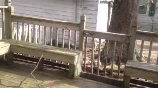 128 Afton Pkwy, Portsmouth, VA - Rental offered by Tidewater Homes & HomeVestors By Patti Robertson