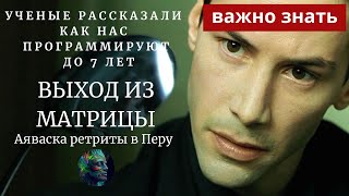 Как программируют людей! Аяваска помогает выйти из матрицы и системы