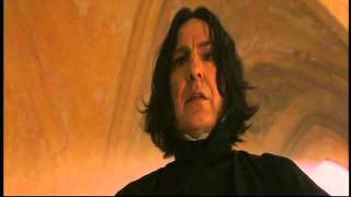 Snape's Court of Miracles