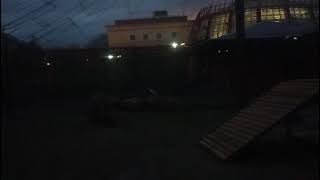 видео: XDPD6077 Вечер Шархан 29 10 2025 Видео от опекуна Светланы картинка: XDPD6077 Вечер Шархан 29 10 2025 Видео от опекуна Светланы