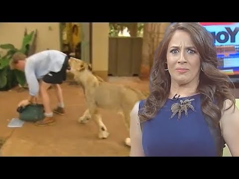 best-animal-news-bloopers-compilation-2018