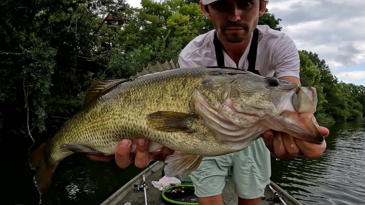 Crushing Bass on Lady Bird Lake: Texas Rigged Ol' Monster (10.5