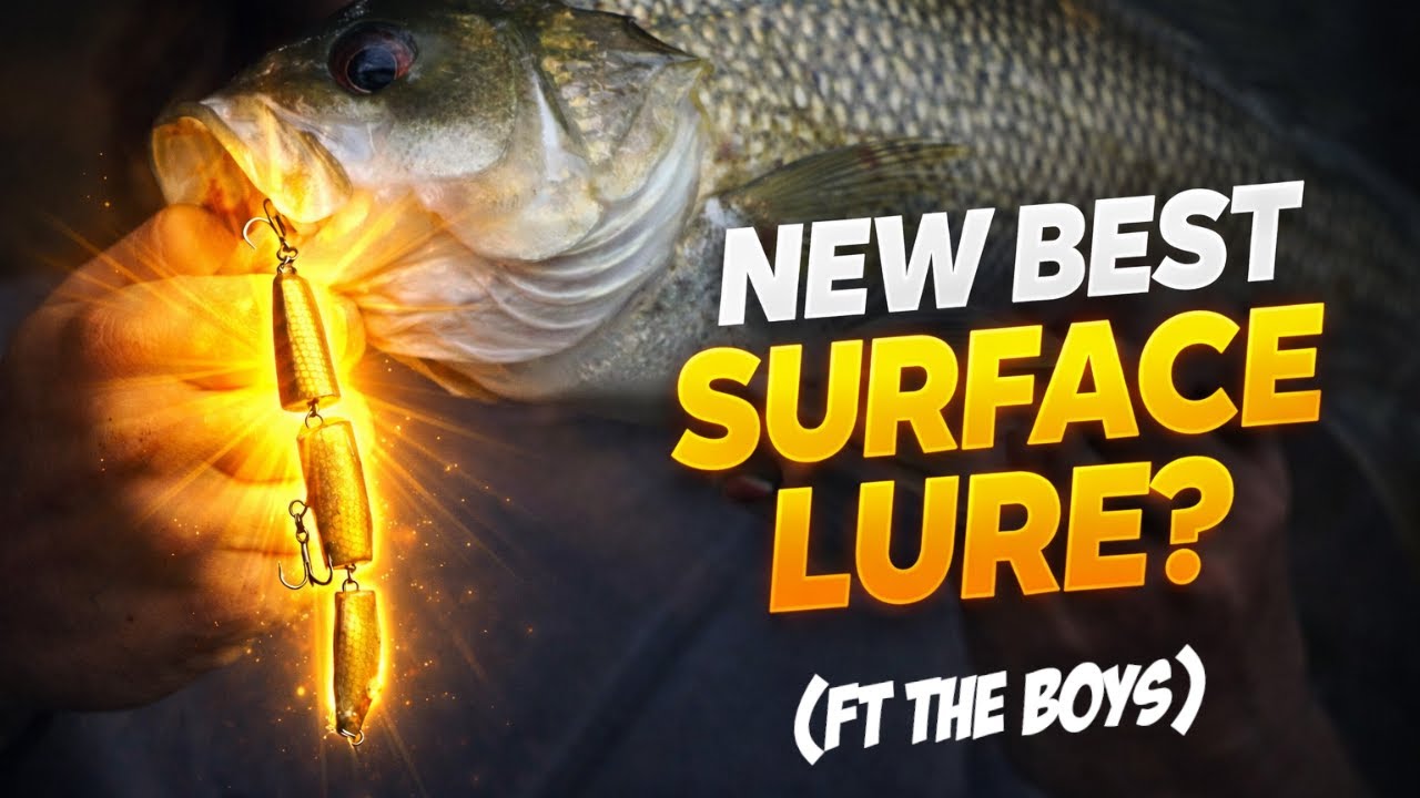 Australian Bass TOPWATER Fishing With The Boys (Rainforest Adventure)