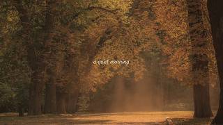 a quiet morning playlist 🍂🐿☁️ screenshot 2