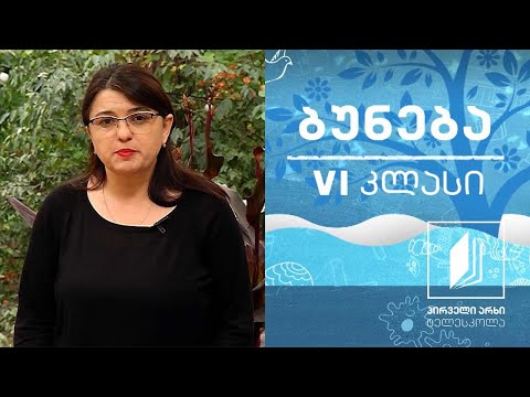 ბუნება, VI კლასი - სუნთქვა, სუნთქვის სიხშირე #ტელესკოლა