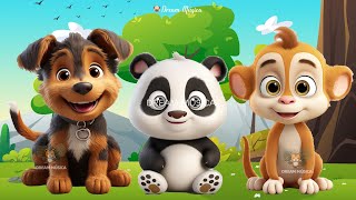 Happy animal moment: Dog, Panda, Monkey, Raccoon, Toucan  Animals sound