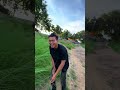 small spider man rider #funny