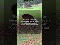 Matthew 4:4 | Bible Verse #shorts