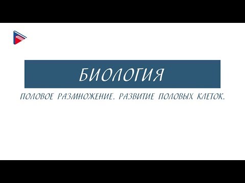 10 класс - Биология - Половое размножение. Развитие половых клеток