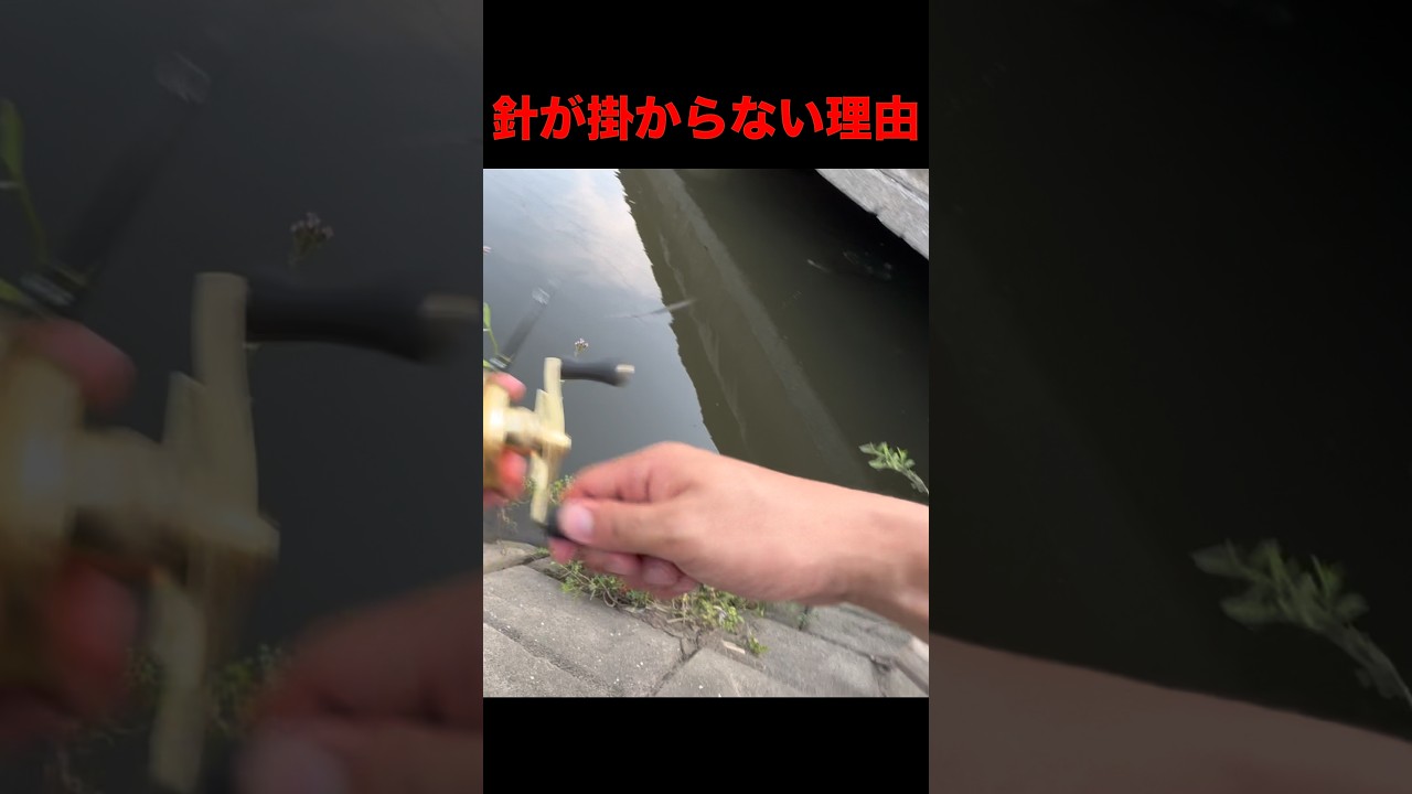 【言い訳する釣り人】バス釣り