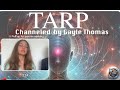 Gayle thomas channels the andromedan collective consciousness called tarp