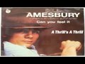 Bill Amesbury - A Thrill's A Thrill (1976)