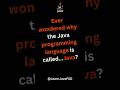 why the Java programming language is called Java #java #javaapplication #codingshorts #coding