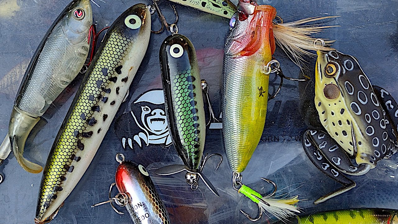The BEST Topwater Lure for Beginners How to Fish It YouTube