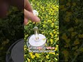 Just add water-it lights up! The wind can't put it out!