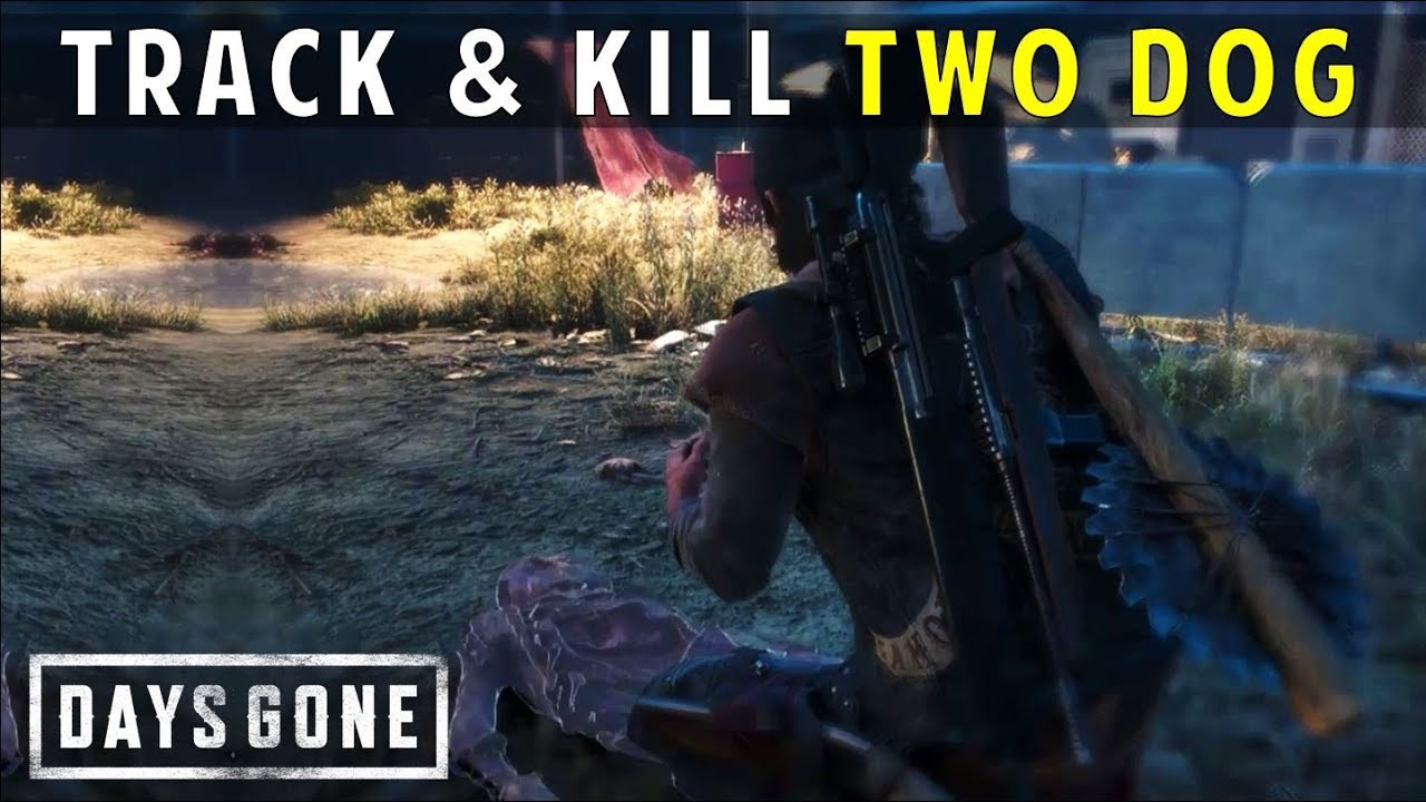 How Many Bodies | Track And Kill Two Dog | Days Gone