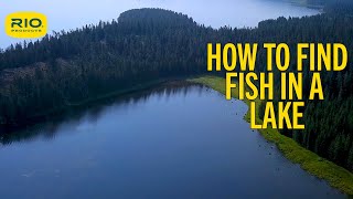 How To Find Fish In A Lake