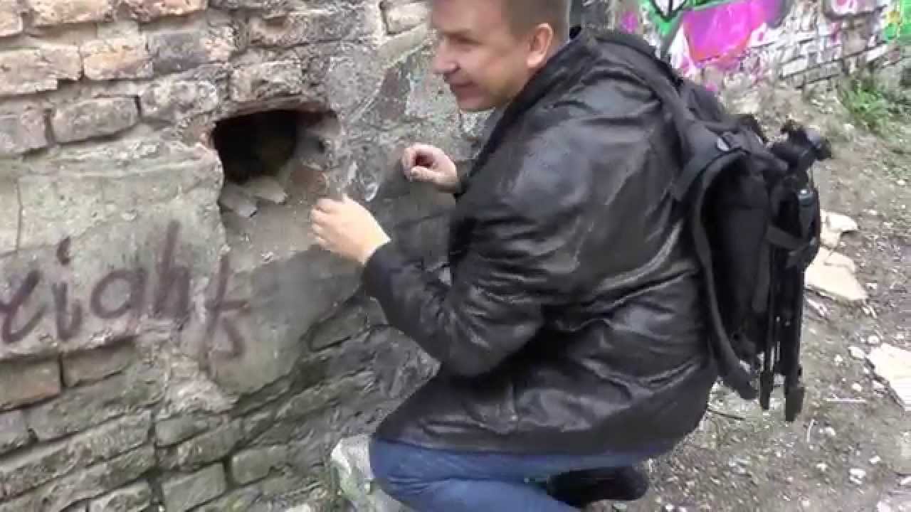 орла и решки фото
