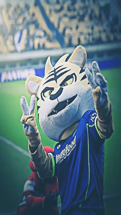 jago juga harimau Persib #persib