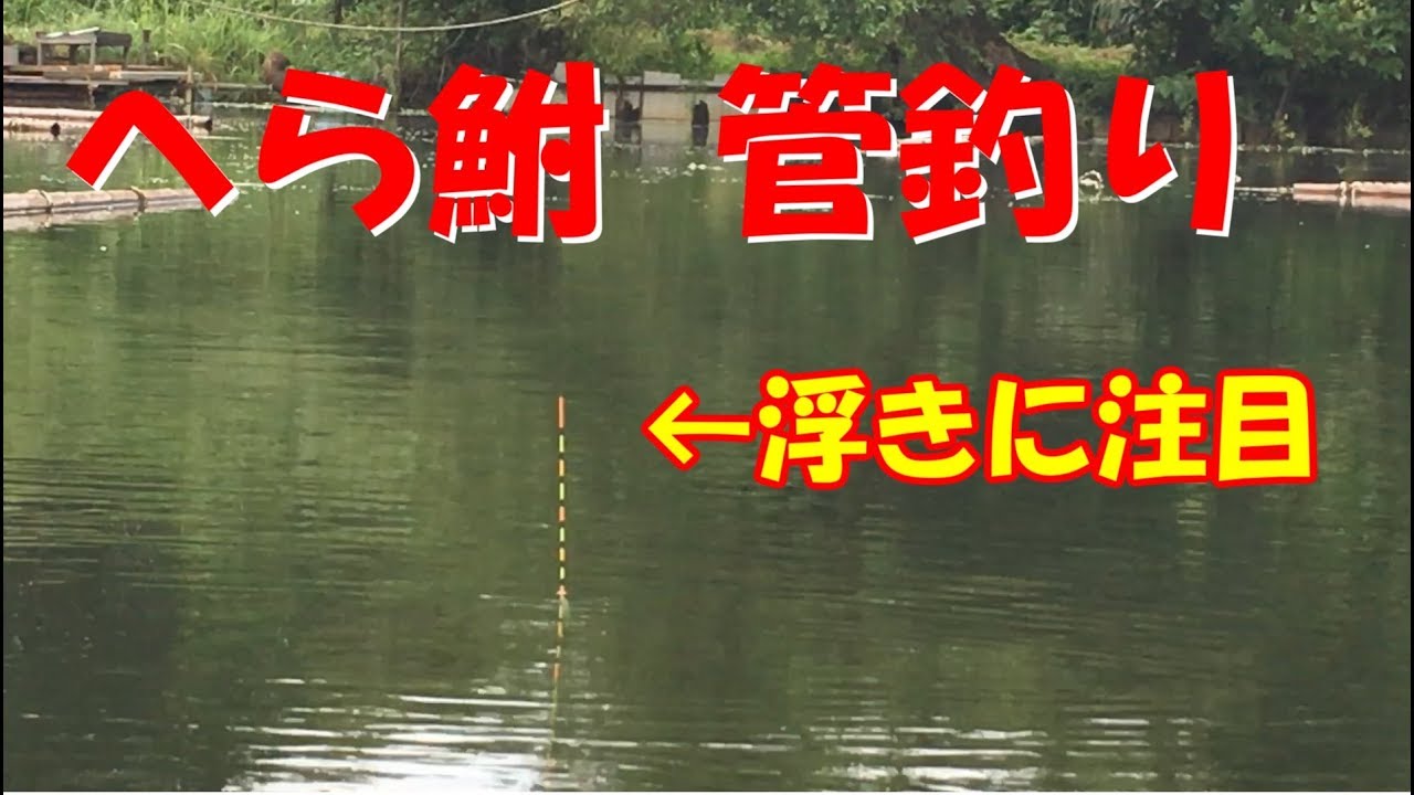 風 に 強い 管理 釣り場 へら