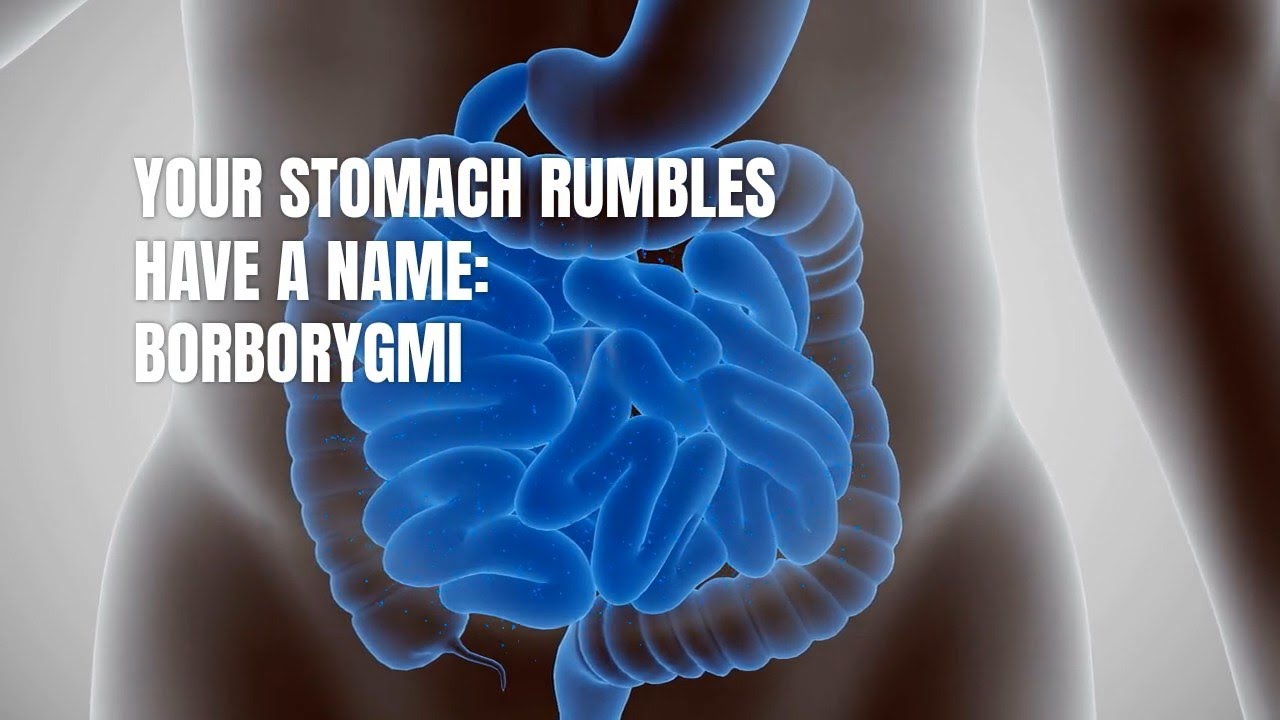 Name Something That Rumbles Your Stomach Rumbles Have a Name: Borborygmi?! 😳🎵 - YouTube