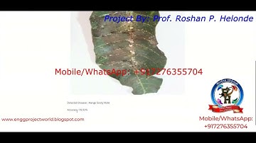 Detection of Mango Leaf Disease Using Image Processing With Source Code   Python Project LeafDisease