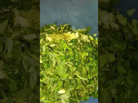 سلطة خيار باللبن الزبادي مع البقلة أو الفرفحينة