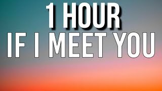 BENEE - If I Get To Meet Yous 🎵1 Hour