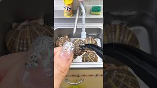 Stop Doing Miniature Seafood Cooking Like This Mistake # #kidslearning #cookingminiature #short