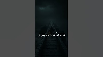 وإذ قال إبرهيم ربي أرني كيف تحيى الموتى | عبدالرحمن مسعد | تلاوة هادئة 💙