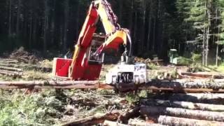 Pierce Grapple Processor