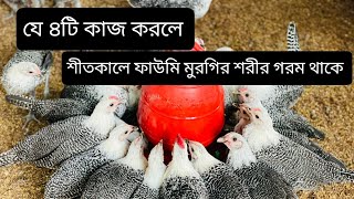 যে ৪ টি কাজ করলে শীতকালেও মুরগির শরীর গরম থাকে। #চিত্রপুরীকৃষিচিত্র #chicken #farmbd #farming