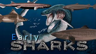 Prehistoric SHARKS and those from the Abyss